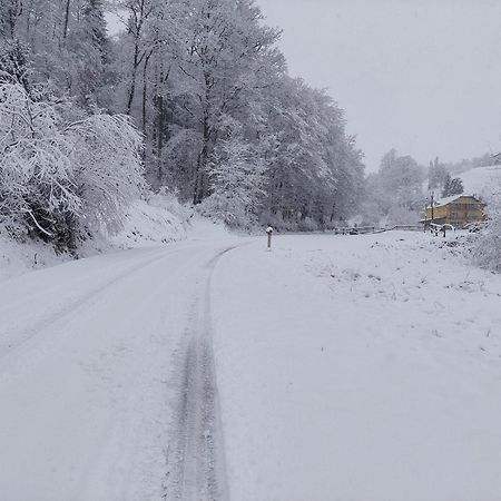 Zelena Oaza Bed & Breakfast Zgornja Kungota Dış mekan fotoğraf