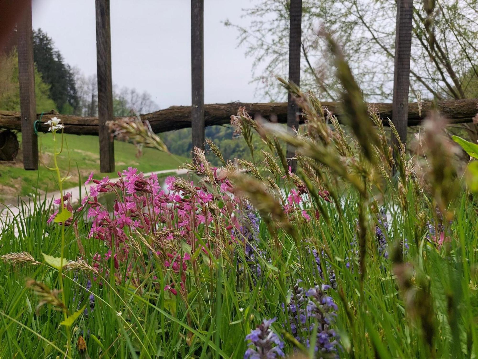 Zelena Oaza Bed & Breakfast Zgornja Kungota Dış mekan fotoğraf